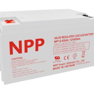 NP 12-65AH