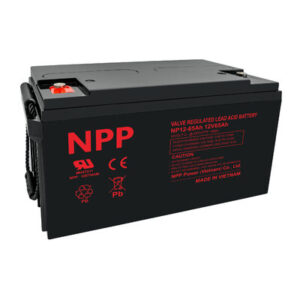 NP12-65Ah